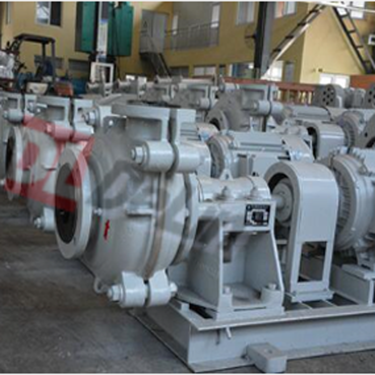 DM(R) Series Slurry Pump DM(R) Series Slurry Pump